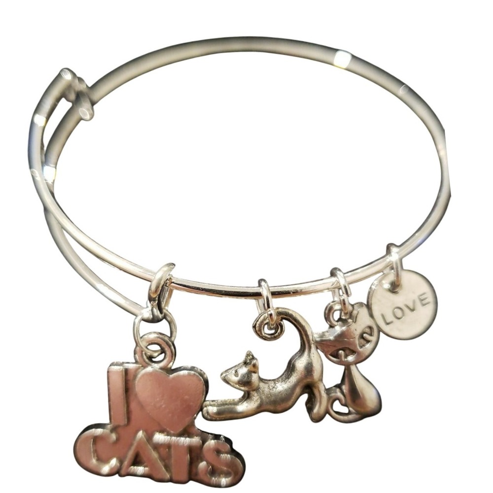 Disney ARISTOCATS CATS‎ Inspired Tibetan Silver Charm Bracelet $60 B001AR